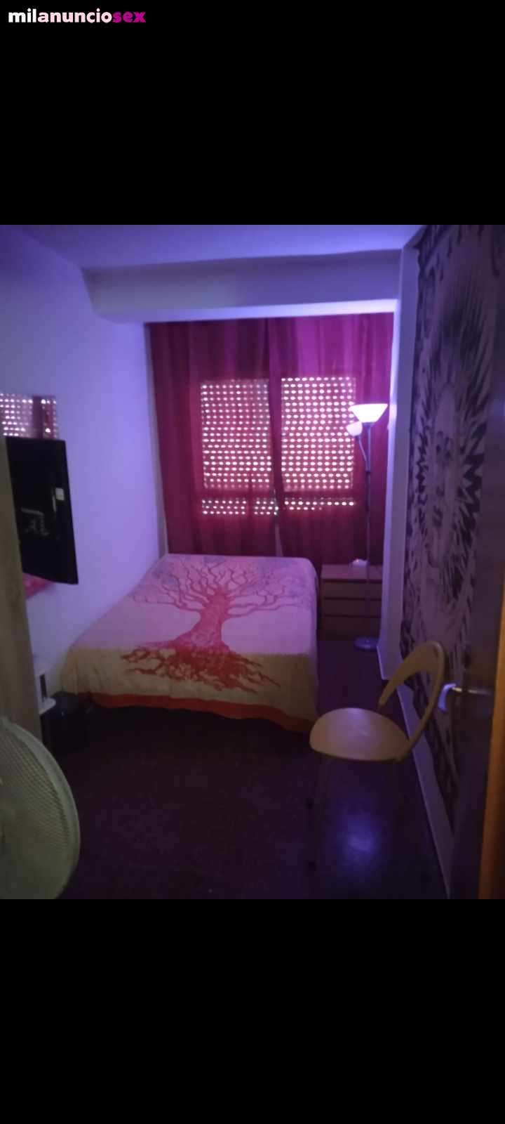 Habitación Vinaroz Castellón