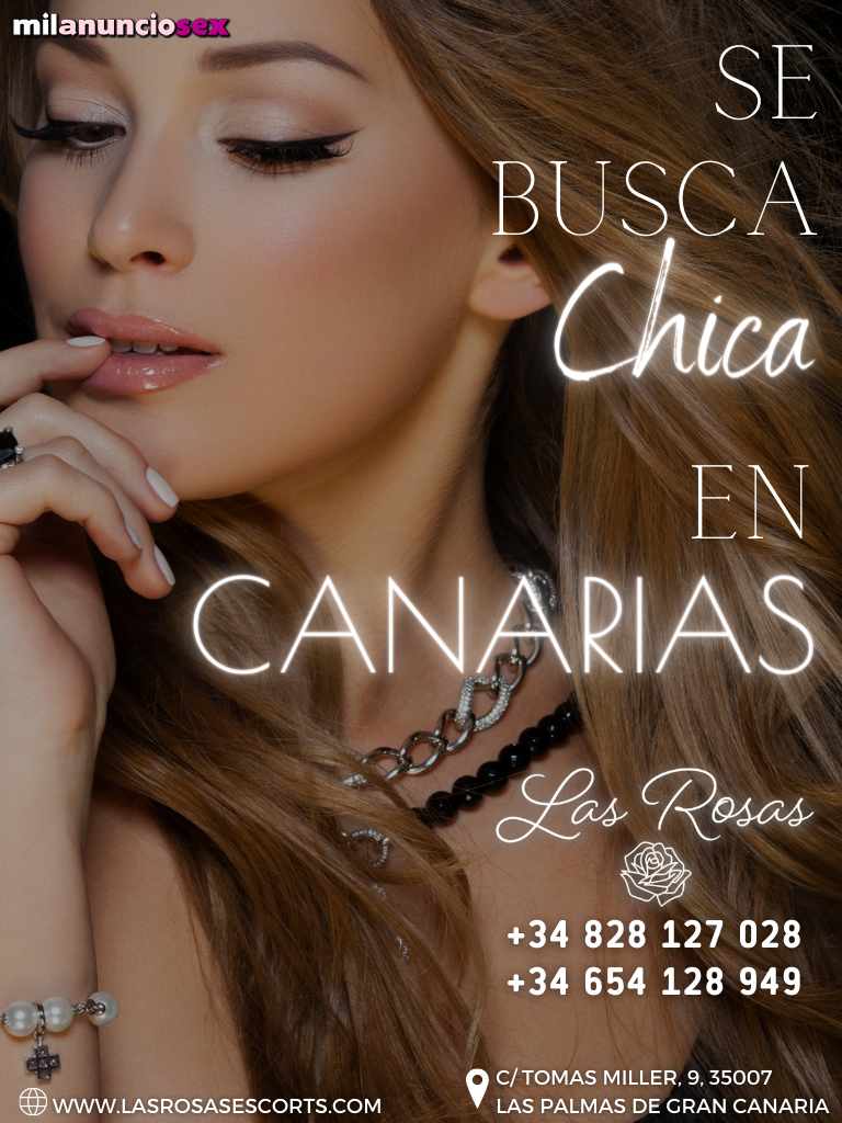 Se busca para gran canaria (17594350) - Milanunciosex.com