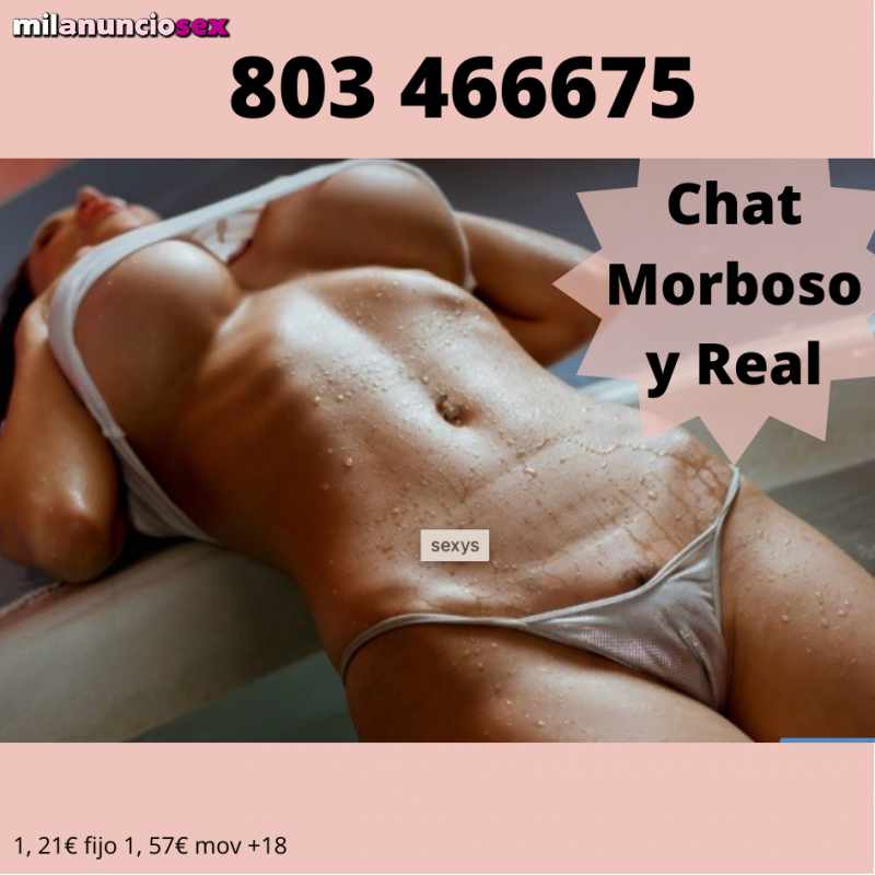 Carrusel CHAT MORBOSO GENTE REAL