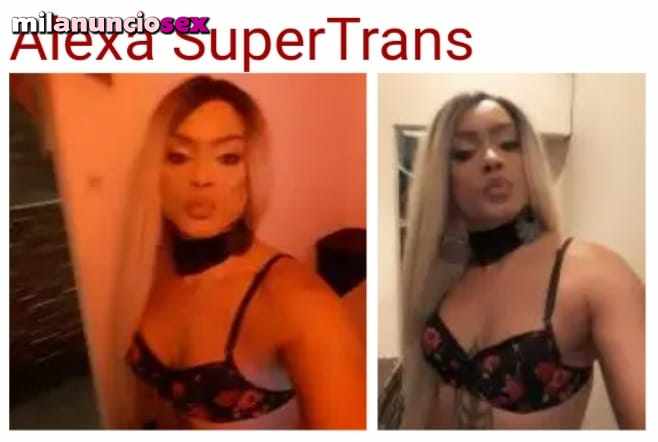 Alexa trans