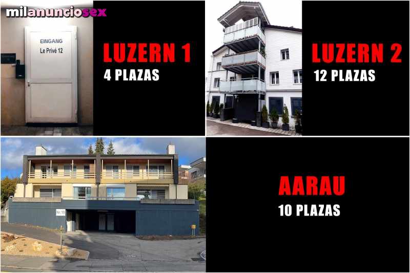 Plazas Suizas 2024 - TU MEJOR ELECCIÓN