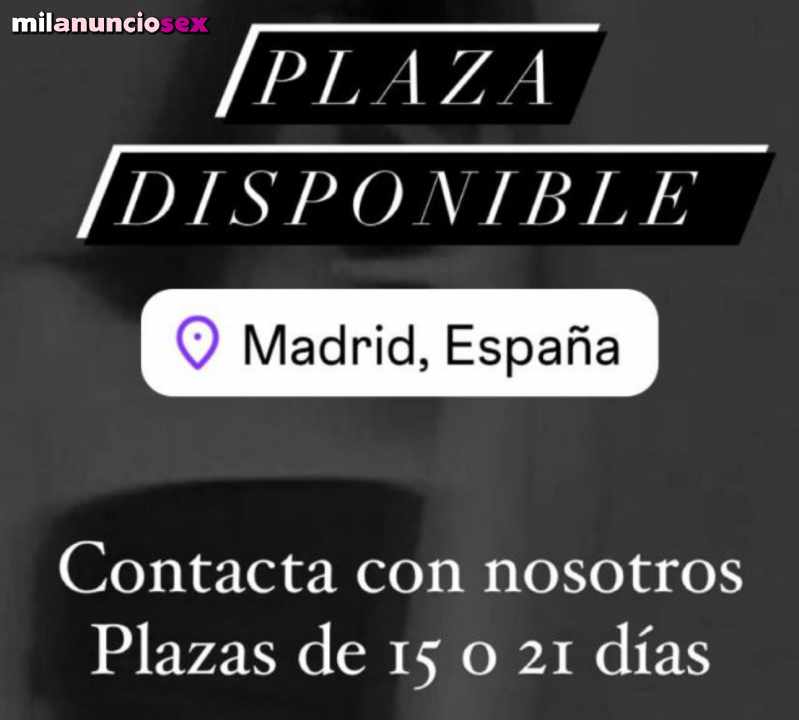 Plaza libre para chicas , altos ingresos