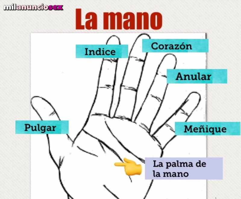 Masajista maduro y rellenito